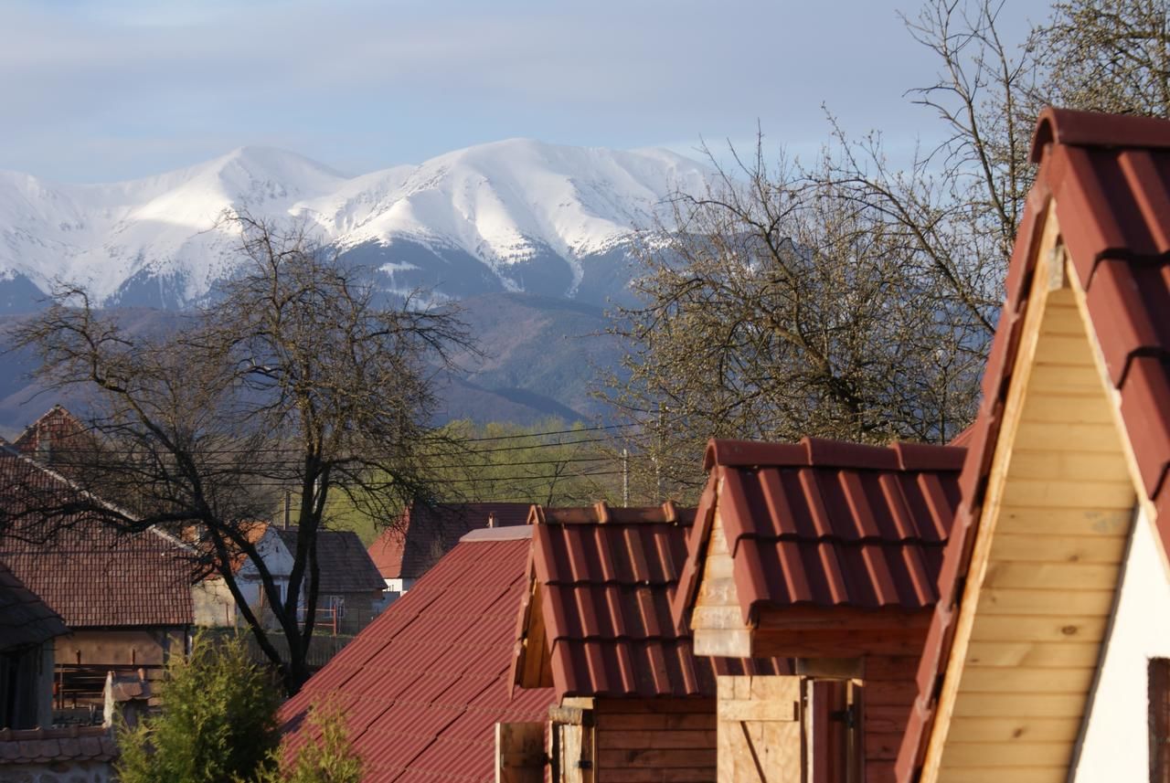 Гостевой дом Casa Porumbacu 295 Порумбаку-де-Сус-5